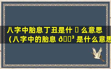 八字中胎息丁丑是什 ☘ 么意思（八字中的胎息 🌳 是什么意思）